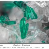 Dioptase
fov 2.2 mm
(Autor: ploum)