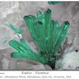 Dioptase
fov 2.2 mm
(Autor: ploum)