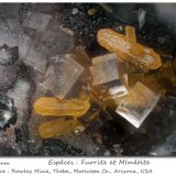 Fluorite and Mimetite
fov 1.8 mm
(Autor: ploum)