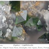 Libethenite
fov 1.8 mm
(Autor: ploum)