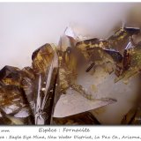 Fornacite
fov 0.75 mm
(Autor: ploum)