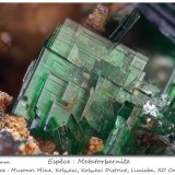 Metatorbernite
fov 4.0 mm
(Autor: ploum)