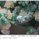 Mimetite on Malachite
fov 2.0 mm
(Autor: ploum)