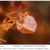 Wulfenite and Mimetite
fov 0.75 mm
(Autor: ploum)