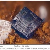 Boleite
fov 2.0 mm
(Autor: ploum)