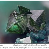 Libethenite
fov 2.0 mm
(Autor: ploum)