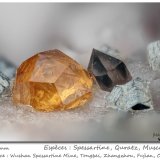 Spessartine, Quartz, Muscovite
fov 4.0 mm
(Autor: ploum)