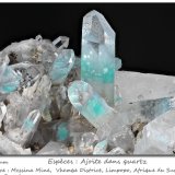 Ajoïte in quartz
fov 40 mm
(Autor: ploum)