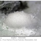 Natrolite
fov 40 mm
(Autor: ploum)