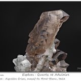 Quartz (variety smoky)
fov 40 mm
(Autor: ploum)