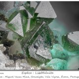 Libethenite
fov 2.6 mm
(Autor: ploum)