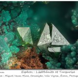 Libethenite and Turquoise
fov 2.5 mm
(Autor: ploum)