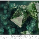 Libethenite and Turquoise
fov 1.7mm
(Autor: ploum)