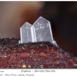 Barite
fov 4.5 mm
(Autor: ploum)