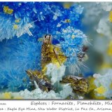 Fornacite + Plancheite + Mimetite
fov 2.3 mm
(Autor: ploum)