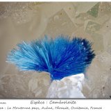 Camerolaite
fov 2.3 mm
(Autor: ploum)