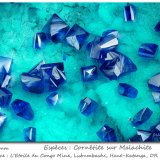 Cornetite on Malachite
fov 2.5 mm
(Autor: ploum)