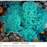Rosasite
fov 2.7 mm
(Autor: ploum)