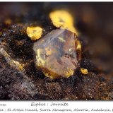 Jarosite
fov 2.3 mm
(Autor: ploum)