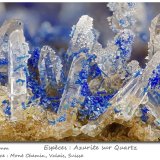 Azurite on Quartz
fov 5.5 mm
(Autor: ploum)