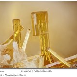 Vanadinite
fov 2.4 mm
(Autor: ploum)