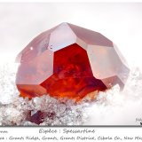 Spessartine
fov 2.4 mm
(Autor: ploum)
