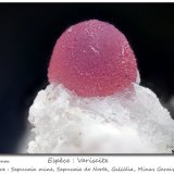 Variscite
fov 2.5 mm
(Autor: ploum)