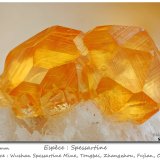 Spessartine
fov 4.2 mm
(Autor: ploum)