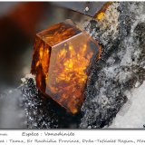 Vanadinite
fov 3.8 mm
(Autor: ploum)
