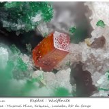 Wulfenite
fov 1.9 mm
(Autor: ploum)