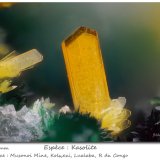 Kasolite
fov 1.1 mm
(Autor: ploum)