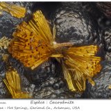 Cacoxenite
fov 1.1 mm
(Autor: ploum)