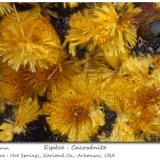 Cacoxenite
fov 2.0 mm
(Autor: ploum)