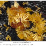 Cacoxenite
fov 2.0 mm
(Autor: ploum)