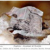 Rutile on Anatase
fov 4.4 mm
(Autor: ploum)