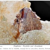 Anatase and Rutile
fov 7.5 mm
(Autor: ploum)