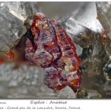 Anatase
fov 4 mm
(Autor: ploum)