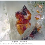 Anatase
fov 2.5 mm
(Autor: ploum)