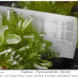 Baryte and Pyromorphite
fov 3.6 mm
(Autor: ploum)