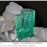 Beryl (variety emerald)
fov 11 mm
(Autor: ploum)