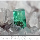Beryl (variety emerald)
fov 13 mm
(Autor: ploum)