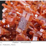 Vanadinite
fov 16 mm
(Autor: ploum)
