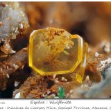Wulfenite
fov 3.7 mm
(Autor: ploum)