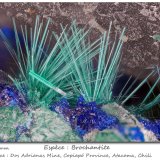 Brochantite
fov 4.0 mm
(Autor: ploum)
