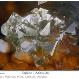 Adamite
fov 2.2 mm
(Autor: ploum)