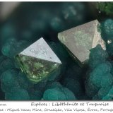 Libethenite and Turquoise
fov 2.0 mm
(Autor: ploum)