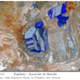 Azurite and Barite
fov 1.5 mm
(Autor: ploum)