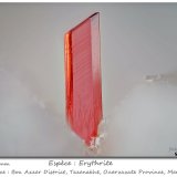 Erythrite
fov 1.5 mm
(Autor: ploum)
