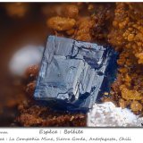 Boleite
fov 1.8 mm
(Autor: ploum)
