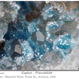 Plancheite with Calcite
fov 1.8 mm
(Autor: ploum)